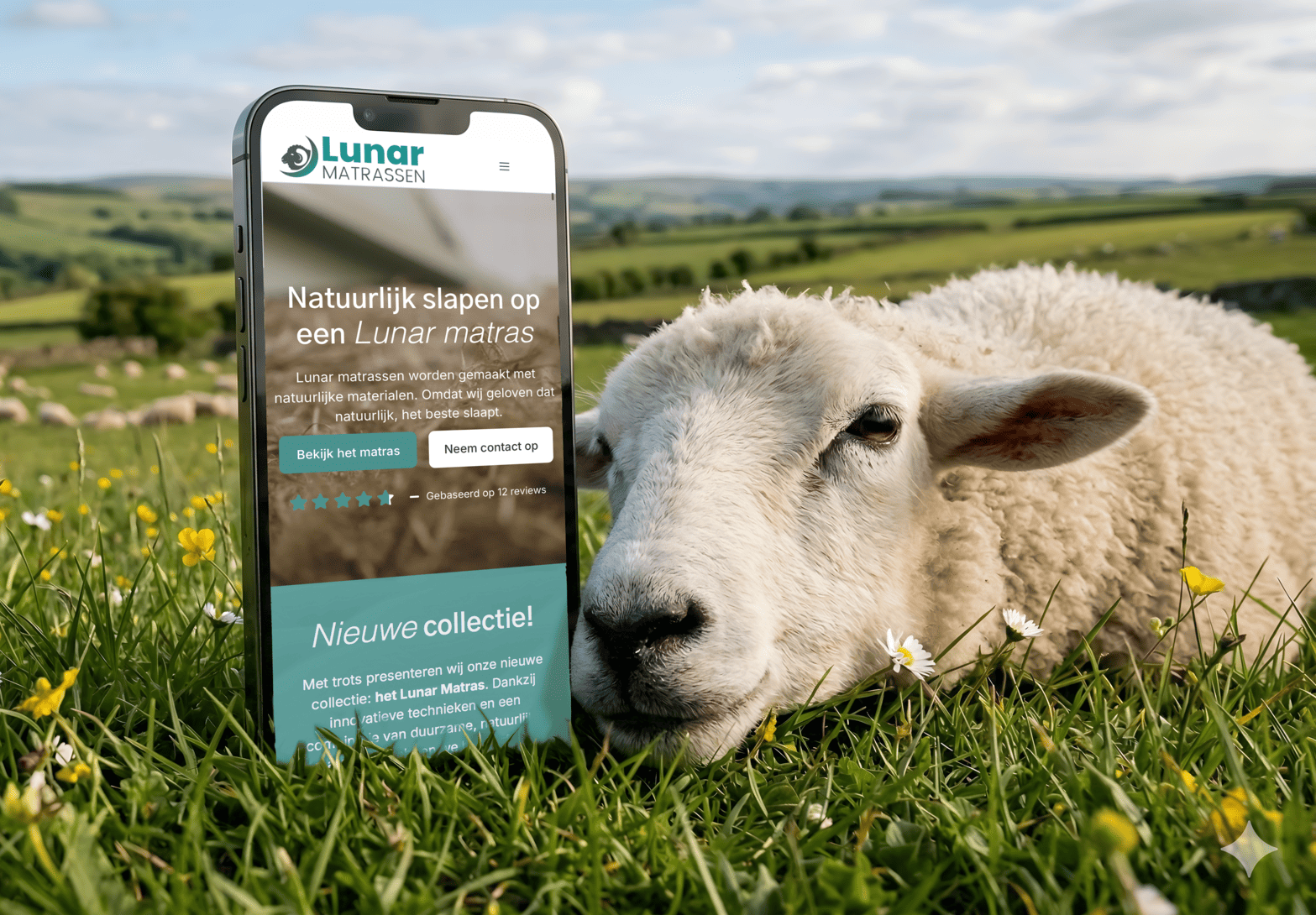 Een schaap rust in een groene weide met wilde bloemen naast een smartphone die de Lunar Matrassen website toont, illustrerend natuurlijk en comfortabel slapen. Case Lunar Matrassen Web Warrior.